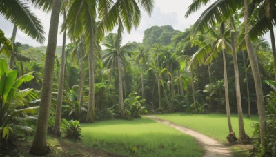 outdoors,sky,day,tree,no humans,sunlight,grass,plant,nature,scenery,forest,palm tree,bush,cloud,blue sky,road,landscape,path