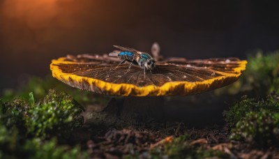 flower,outdoors,wings,blurry,tree,no humans,depth of field,blurry background,bug,plant,nature,scenery,antennae,flying,science fiction,realistic