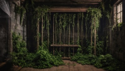 outdoors,day,indoors,no humans,window,sunlight,grass,plant,scenery,door,potted plant,ruins,vines,pillar,moss,overgrown,broken window