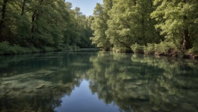 outdoors,sky,day,cloud,water,tree,blue sky,no humans,grass,nature,scenery,forest,reflection,river,lake,reflective water,landscape