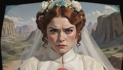 1girl,solo,looking at viewer,blush,brown hair,hair ornament,dress,brown eyes,jewelry,closed mouth,flower,earrings,outdoors,sky,day,cloud,tears,hair flower,hair bun,white dress,blue sky,lips,grey eyes,border,white flower,portrait,veil,mountain,wedding dress,realistic,bridal veil,bride,bangs,grass,serious,head wreath