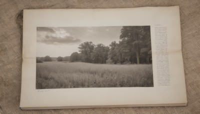 monochrome,outdoors,sky,cloud,tree,no humans,cloudy sky,grass,nature,scenery,forest,paper,photo (object),sepia,english text,field