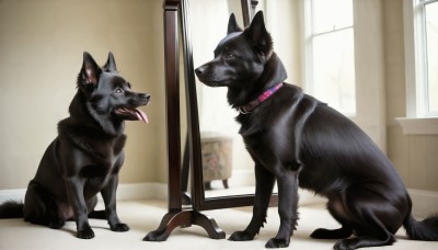 HQ,open mouth,red eyes,tongue,indoors,tongue out,looking at another,collar,no humans,window,animal,cat,dog,realistic,leash,animal focus,looking at viewer,teeth,mirror,animal collar