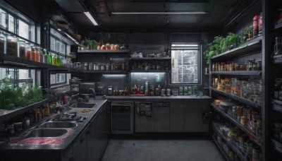 food,indoors,cup,no humans,window,sunlight,bottle,plant,scenery,plate,alcohol,drinking glass,tiles,shelf,kitchen,wine bottle,jar,frying pan,sink,spatula,counter,ceiling light,refrigerator,cabinet,stove,tree,can,meat,shop