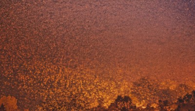 outdoors,sky,cloud,tree,no humans,night,leaf,moon,star (sky),nature,scenery,forest,starry sky,sunset,crescent moon,orange sky,orange theme,autumn leaves,red theme,autumn