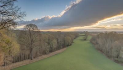 outdoors,sky,day,cloud,tree,blue sky,no humans,cloudy sky,grass,nature,scenery,sunset,mountain,bare tree,landscape,sunlight,forest,horizon,road,bush,field,path