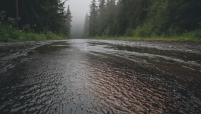 outdoors,day,tree,no humans,grass,nature,scenery,forest,road,river,landscape,path,sky,water