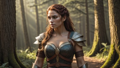 1girl,solo,long hair,breasts,brown hair,cleavage,brown eyes,medium breasts,closed mouth,collarbone,upper body,braid,outdoors,parted lips,artist name,signature,armor,blurry,tree,lips,looking to the side,depth of field,blurry background,looking away,sunlight,shoulder armor,nature,french braid,forest,pauldrons,breastplate,realistic,nose,arms at sides,large breasts,day,curly hair