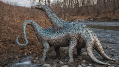 solo,tail,outdoors,horns,water,tree,no humans,nature,forest,monster,rock,realistic,dragon,scales,bare tree,dinosaur,open mouth,sky,day,animal,scenery