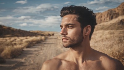 solo,short hair,black hair,1boy,brown eyes,collarbone,upper body,male focus,nude,outdoors,sky,day,cloud,blurry,blue sky,looking to the side,blurry background,facial hair,portrait,beard,topless male,realistic,manly,chest hair,desert,brown hair,closed mouth,sand