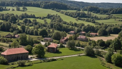 outdoors,day,tree,no humans,grass,building,nature,scenery,forest,mountain,road,bush,house,landscape,path,sky,window,field,hill,town