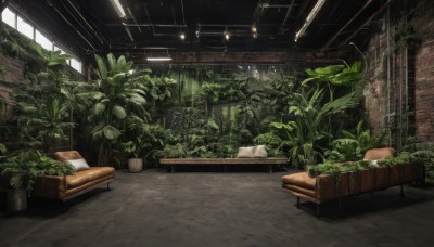 day,indoors,tree,book,no humans,window,chair,table,sunlight,plant,scenery,couch,potted plant,bench,ceiling,ceiling light,overgrown,pillow,tiles,light,lamp,wall