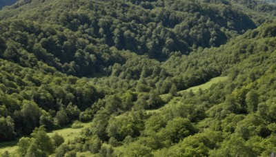 outdoors,sky,day,tree,no humans,traditional media,grass,nature,scenery,forest,rock,mountain,green theme,landscape,artist name,signature