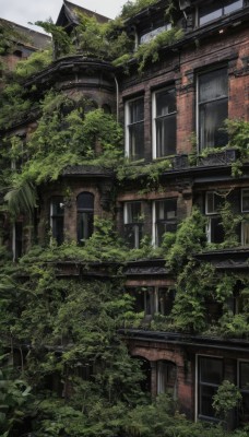 outdoors,day,tree,no humans,window,plant,building,scenery,door,ruins,vines,house,moss,overgrown,sky,cloud,cloudy sky,architecture,east asian architecture