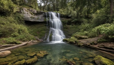 outdoors,day,water,tree,no humans,grass,nature,scenery,forest,rock,river,waterfall,moss,stream,landscape