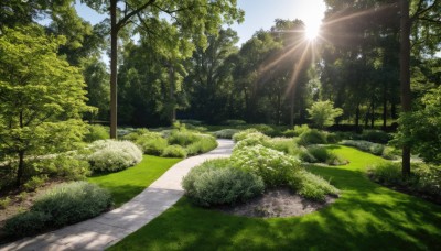 outdoors,sky,day,cloud,tree,blue sky,no humans,sunlight,grass,nature,scenery,forest,light rays,sun,road,bush,path,shadow,plant,lens flare