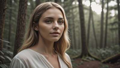 1girl,solo,long hair,looking at viewer,blonde hair,brown hair,shirt,brown eyes,closed mouth,collarbone,white shirt,upper body,outdoors,blurry,tree,lips,depth of field,blurry background,portrait,nature,forest,realistic,nose,dress,braid,parted lips,day,sunlight