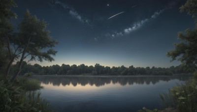 outdoors,sky,cloud,water,tree,no humans,night,grass,star (sky),nature,night sky,scenery,forest,starry sky,reflection,river,lake,shooting star,reflective water,signature