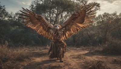 solo,1boy,sitting,male focus,outdoors,wings,sky,day,cloud,tree,bird,grass,nature,scenery,forest,riding,no humans,horse,owl,horseback riding,spread wings