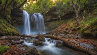 outdoors, day, water, tree, no humans, sunlight, nature, scenery, forest, rock, river, waterfall, stream