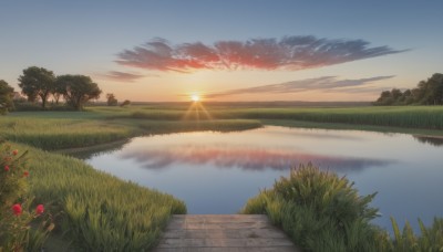 flower,outdoors,sky,day,cloud,water,tree,blue sky,no humans,sunlight,cloudy sky,grass,plant,red flower,nature,scenery,reflection,sunset,sun,horizon,road,bush,river,path,forest,landscape,lake,gradient sky,sunrise