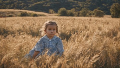 1girl,solo,looking at viewer,short hair,brown hair,long sleeves,dress,brown eyes,jewelry,upper body,outdoors,signature,blurry,depth of field,blurry background,blue dress,grass,child,scenery,realistic,field,blue eyes,hair ornament,flower,short sleeves,sky,day,tree,lips,wind,female child,wheat