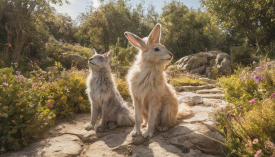 flower, outdoors, sky, day, tree, no humans, animal, grass, nature, scenery, rabbit, rock, realistic