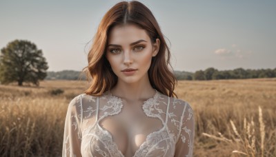 1girl,solo,long hair,breasts,looking at viewer,brown hair,dress,cleavage,brown eyes,medium breasts,closed mouth,collarbone,upper body,outdoors,sky,day,white dress,blurry,tree,lips,see-through,depth of field,blurry background,forehead,realistic,straight-on,parted lips,blue sky,breasts apart,field