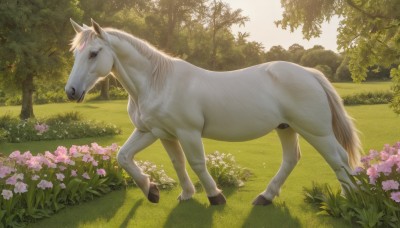 solo,full body,flower,outdoors,day,tree,no humans,shadow,animal,sunlight,grass,nature,scenery,pink flower,forest,realistic,animal focus,horse,standing,sky,signature,from side,bush,field