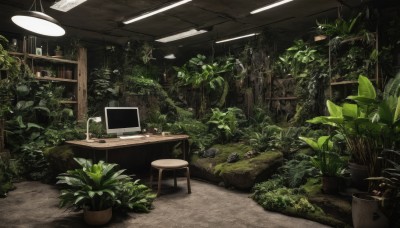 indoors,no humans,chair,table,plant,scenery,potted plant,lamp,computer,monitor,shelf,laptop,ceiling light,desk,stool