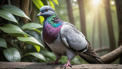 HQ,solo,looking at viewer,red eyes,standing,full body,outdoors,day,blurry,tree,pokemon (creature),no humans,depth of field,blurry background,bird,animal,leaf,sunlight,feathers,plant,nature,forest,realistic,animal focus,talons,beak,closed mouth,light rays,branch