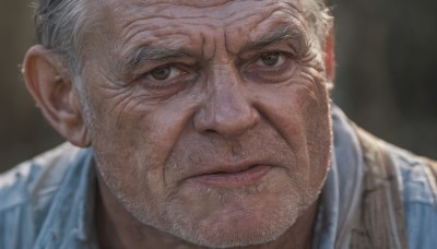 solo,looking at viewer,short hair,shirt,1boy,brown eyes,closed mouth,white hair,grey hair,male focus,collared shirt,blurry,blurry background,facial hair,portrait,beard,close-up,realistic,manly,old,old man,wrinkled skin,lips,grey eyes,blue shirt,nose