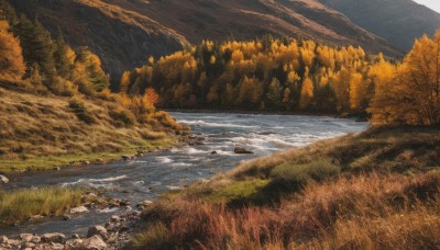 outdoors,day,water,tree,no humans,traditional media,grass,nature,scenery,forest,rock,mountain,river,landscape,lake,stream,sky,cloud,autumn leaves,autumn,shore