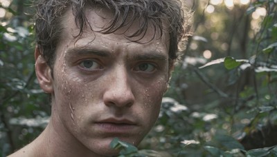 solo,looking at viewer,short hair,brown hair,black hair,1boy,closed mouth,male focus,outdoors,day,blurry,lips,wet,grey eyes,depth of field,blurry background,leaf,plant,messy hair,portrait,nature,close-up,freckles,realistic,wet hair,brown eyes,sunlight,dappled sunlight,mole on cheek