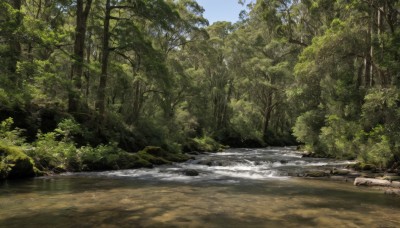 outdoors,sky,day,water,tree,no humans,grass,nature,scenery,forest,rock,road,river,landscape,path,blue sky,plant