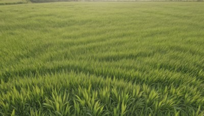 outdoors,sky,day,no humans,traditional media,grass,nature,scenery,field,green theme