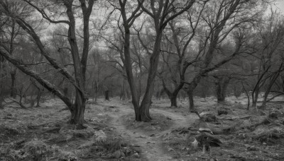 monochrome,greyscale,outdoors,tree,no humans,traditional media,grass,nature,scenery,forest,bare tree,bird,rock,landscape,crow