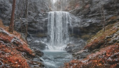 outdoors,day,water,tree,no humans,leaf,nature,scenery,snow,forest,rock,mountain,autumn leaves,maple leaf,winter,river,autumn,waterfall,landscape,stream,bare tree