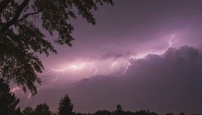 outdoors,sky,cloud,tree,no humans,cloudy sky,nature,scenery,forest,electricity,purple theme,lightning,purple sky,monochrome,dark