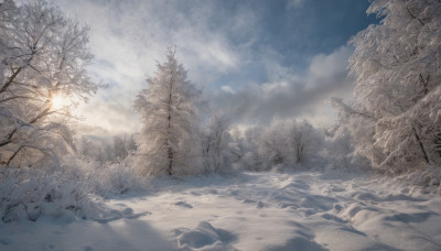 outdoors, sky, cloud, tree, no humans, cloudy sky, nature, scenery, snow, bare tree