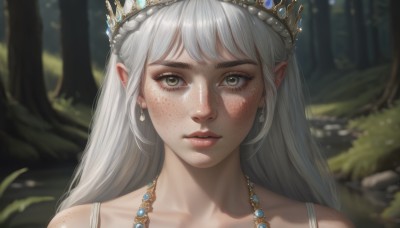 1girl,solo,long hair,looking at viewer,bangs,jewelry,closed mouth,collarbone,white hair,grey hair,earrings,outdoors,day,pointy ears,necklace,blurry,tree,lips,grey eyes,eyelashes,depth of field,blurry background,tiara,crown,gem,portrait,nature,forest,freckles,realistic,nose,bare shoulders,green eyes,braid,close-up