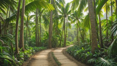 outdoors,sky,day,tree,no humans,shadow,leaf,beach,sunlight,plant,nature,scenery,forest,palm tree,bush,cloud,blue sky,traditional media,grass,road,path