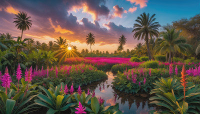 flower, outdoors, sky, cloud, water, tree, no humans, cloudy sky, plant, nature, scenery, reflection, sunset, palm tree, sun