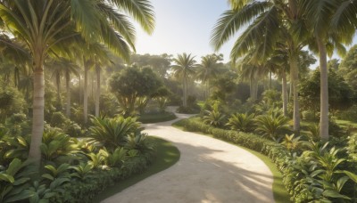 outdoors,sky,day,tree,no humans,shadow,beach,sunlight,grass,plant,nature,scenery,forest,sand,palm tree,road,bush,shade,cloud,blue sky,leaf,path