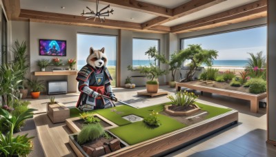 solo,1boy,holding,animal ears,weapon,flower,sword,indoors,armor,no humans,window,mask,table,plant,scenery,furry,desk,wooden floor,potted plant,japanese armor,furry male,flower pot,cactus,cutting board,gloves,sky,day,tree,grass,gauntlets,yellow flower,television,monitor,shelf,vase,painting (object),tanuki