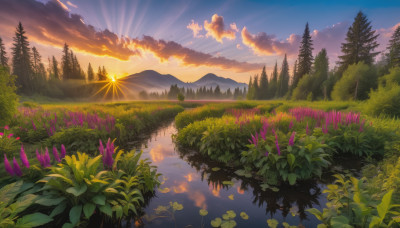 flower, outdoors, sky, cloud, water, tree, no humans, sunlight, cloudy sky, grass, plant, nature, scenery, forest, reflection, sunset, mountain, sun, landscape, mountainous horizon, lake