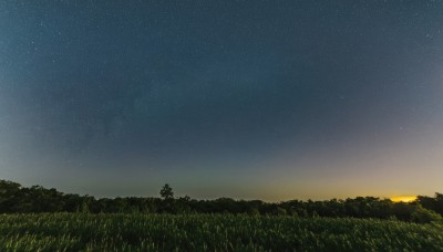 outdoors,sky,cloud,tree,no humans,night,grass,star (sky),nature,night sky,scenery,forest,starry sky,sunset,field,twilight,gradient sky,sunrise,hill,evening