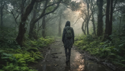 solo, standing, outdoors, hood, from behind, tree, nature, scenery, cloak, hood up, forest, walking