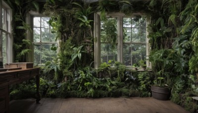 day,indoors,tree,no humans,window,leaf,chair,table,sunlight,plant,curtains,nature,scenery,forest,wooden floor,potted plant,vines,moss,overgrown,book,desk