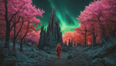 solo,1boy,standing,male focus,outdoors,sky,from behind,cape,tree,night,cherry blossoms,star (sky),nature,night sky,scenery,cloak,forest,starry sky,rock,ruins,1other,facing away,wide shot,ambiguous gender,red cloak,aurora